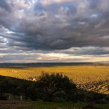 Desde Mi Cielo Деревянный коттедж